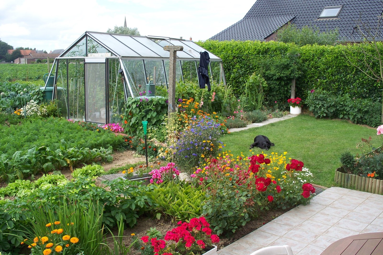 Serre ACD S206 — visuel fabricant