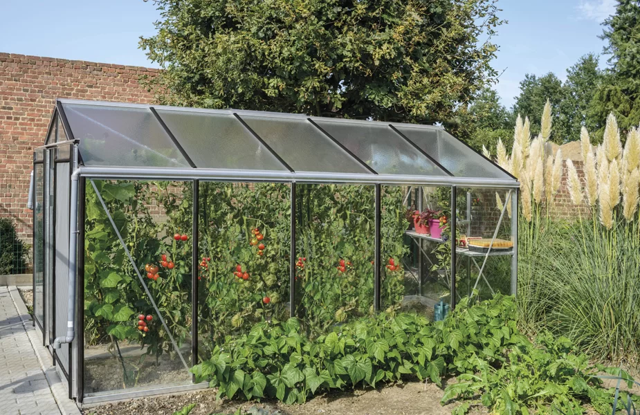 Serre ACD en aluminium dans un jardin potager